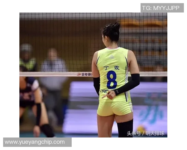 陈芳专访：从青涩球员到篮球传奇的成长之路回顾