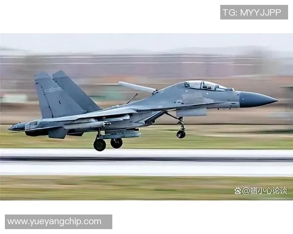 兵工厂与老虎的较量：谁能在现代战争中占据制高点