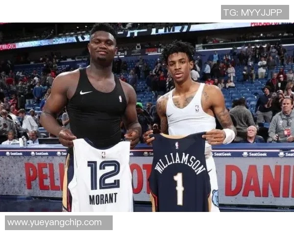 鹈鹕与灰熊精彩对决视频直播全程回放及赛后分析